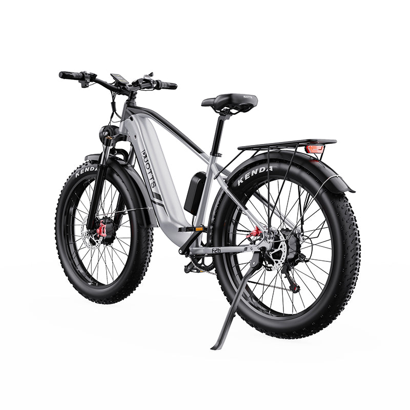 DUOTTS F26 Electric Bike