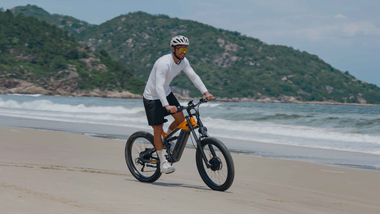 Comparative analysis of the performance of Puluma bicycles, single-motor bicycles, and dual-motor bicycles