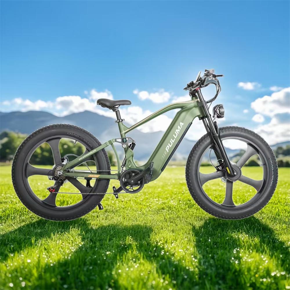 PE900 Mountain Electric Bike 26"*4.0 Wide Tires