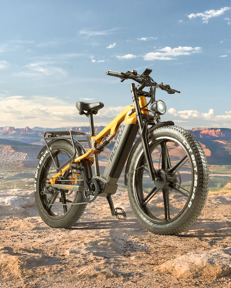 PULUMA PH003 Ebike