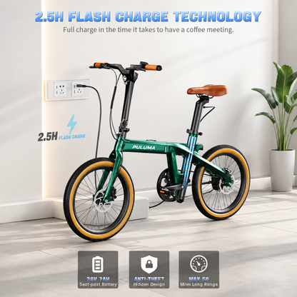 PULUMA PT20 Ultra-light carbon fibre foldable electric bicycle