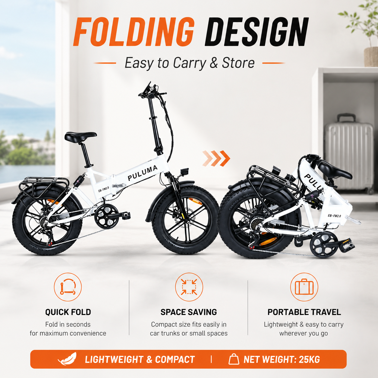 PULUMA EB-FM2.0 Foldable electric bicycle
