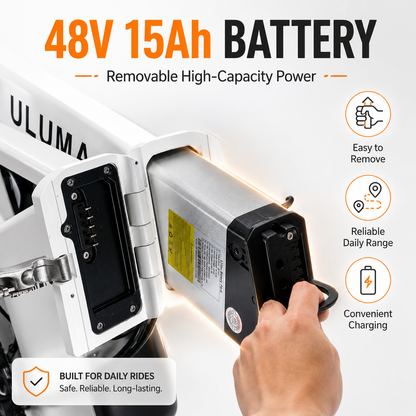 PULUMA EB-FM2.0 Foldable electric bicycle