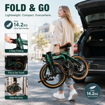 PULUMA PT20 Ultra-light carbon fibre foldable electric bicycle