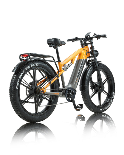 PULUMA PH003 Ebike