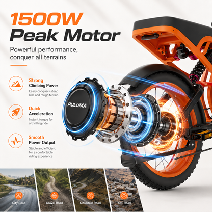 PULUMA SU8 Electric cycle