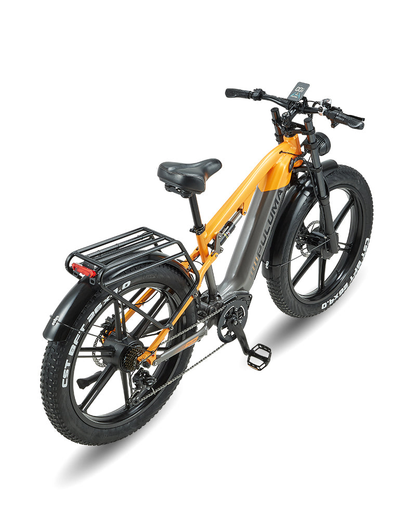 PULUMA PH003 Ebike