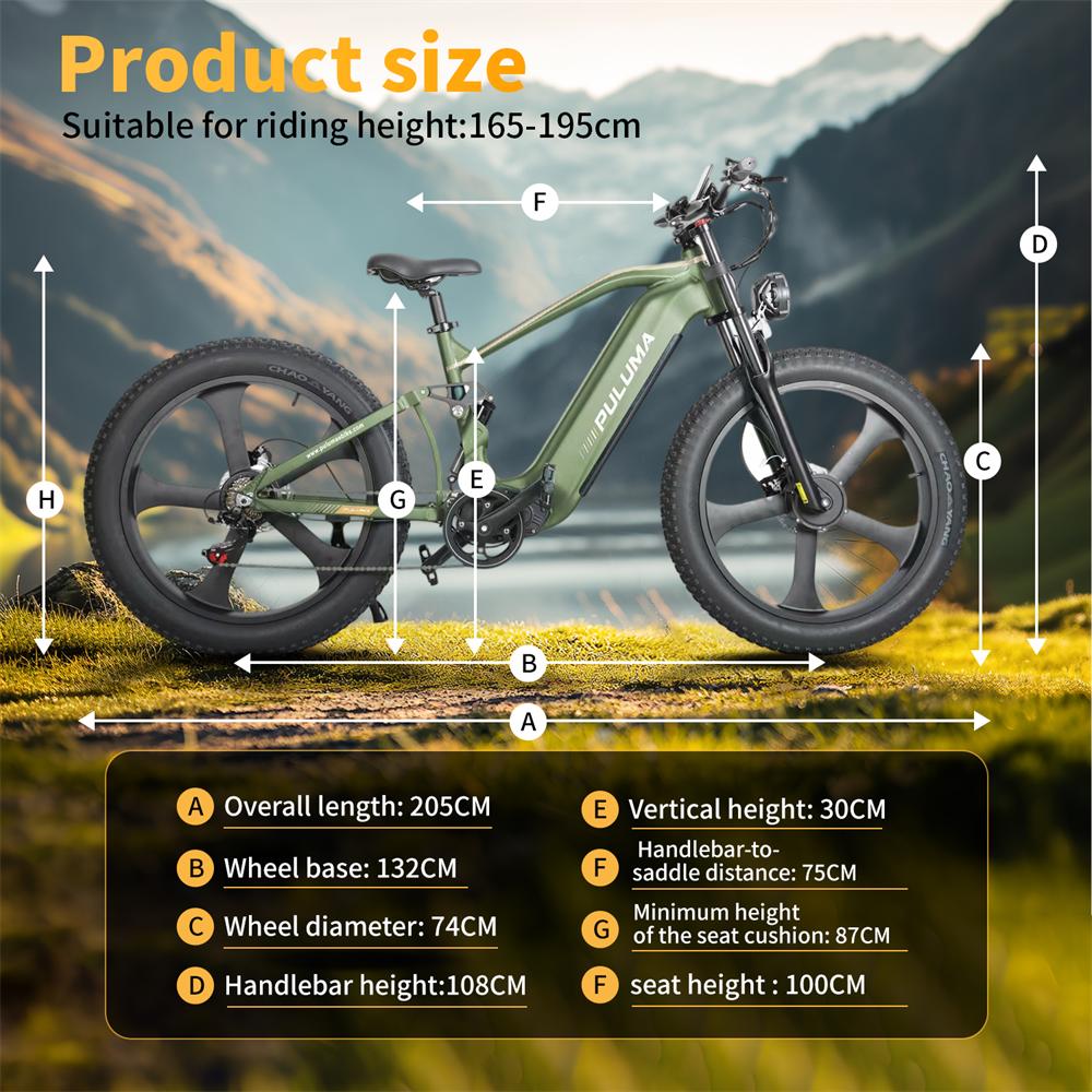 PE900 Mountain Electric Bike 26"*4.0 Wide Tires