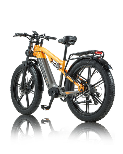 PULUMA PH003 Ebike