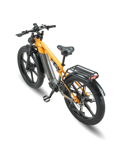 PULUMA PH003 Ebike