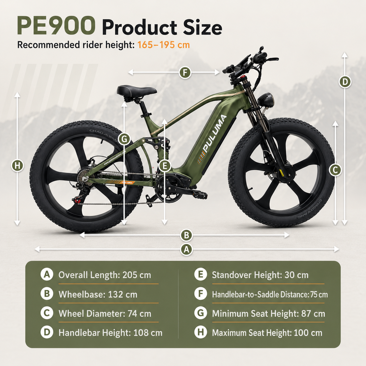 PULUMA PE900 Mountain Electric Bike