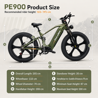 PULUMA PE900 Mountain Electric Bike