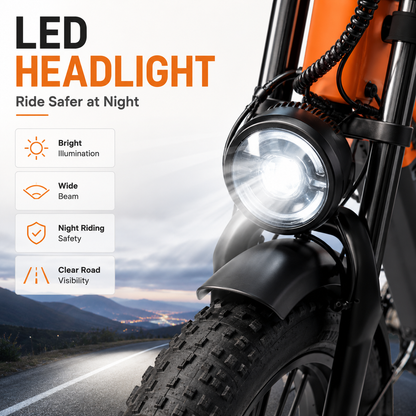 PULUMA PH003 Dual motor Ebike