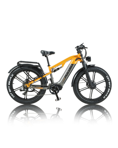 PULUMA PH003 Ebike