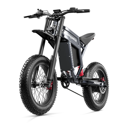 Shengmilo S900