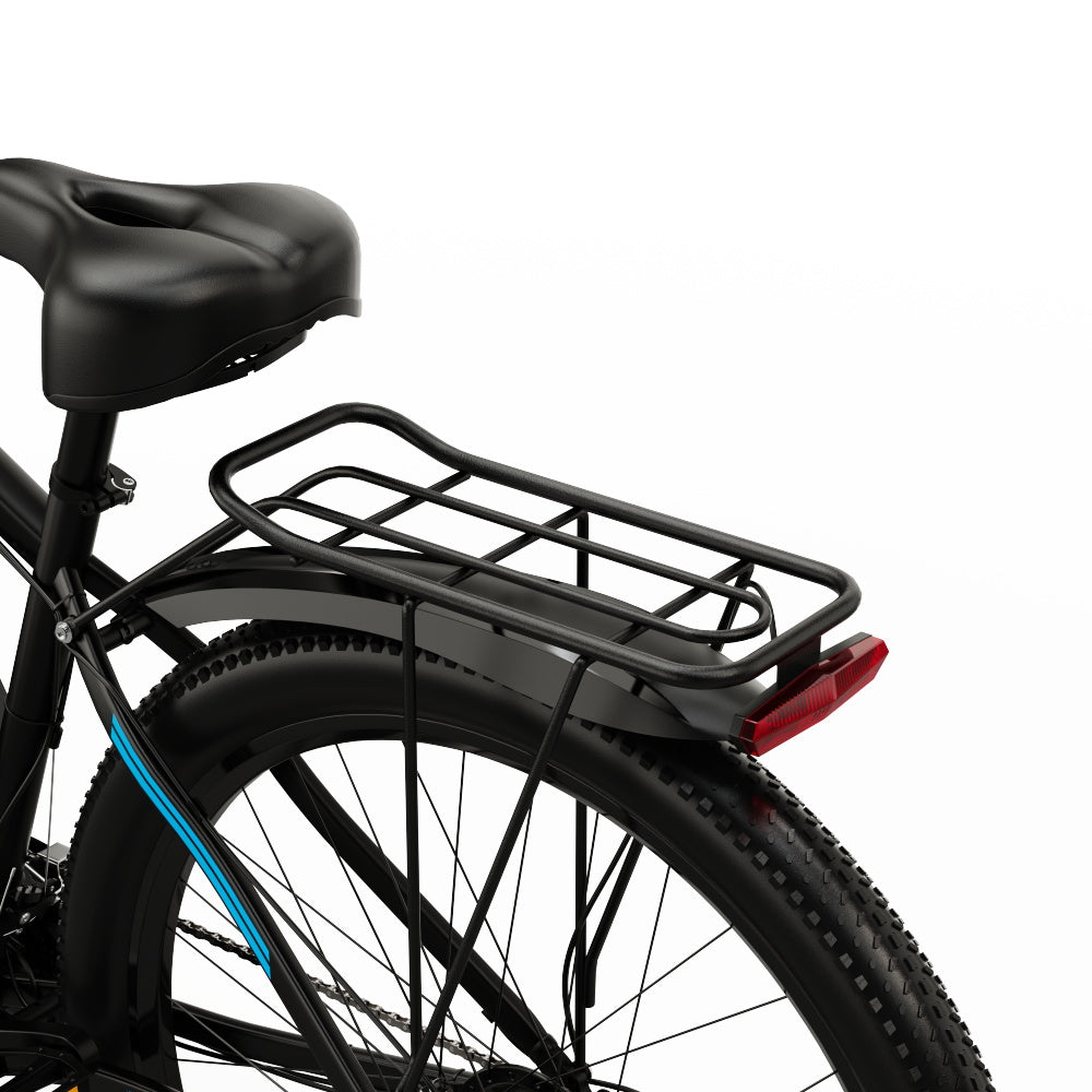 DUOTTS C29 Electric Bike