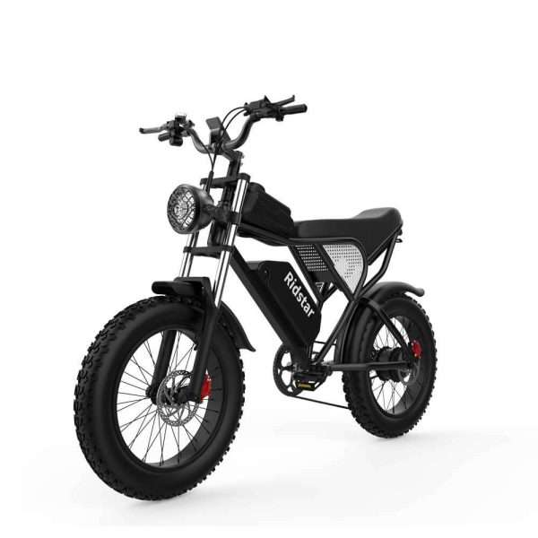 Ridstar Q20 Powerful 1500W Motor, 48V20AH Battery, Dual Hydraulic Brakes, Enabling Seamless Navigation on Both Urban and Rural Roads