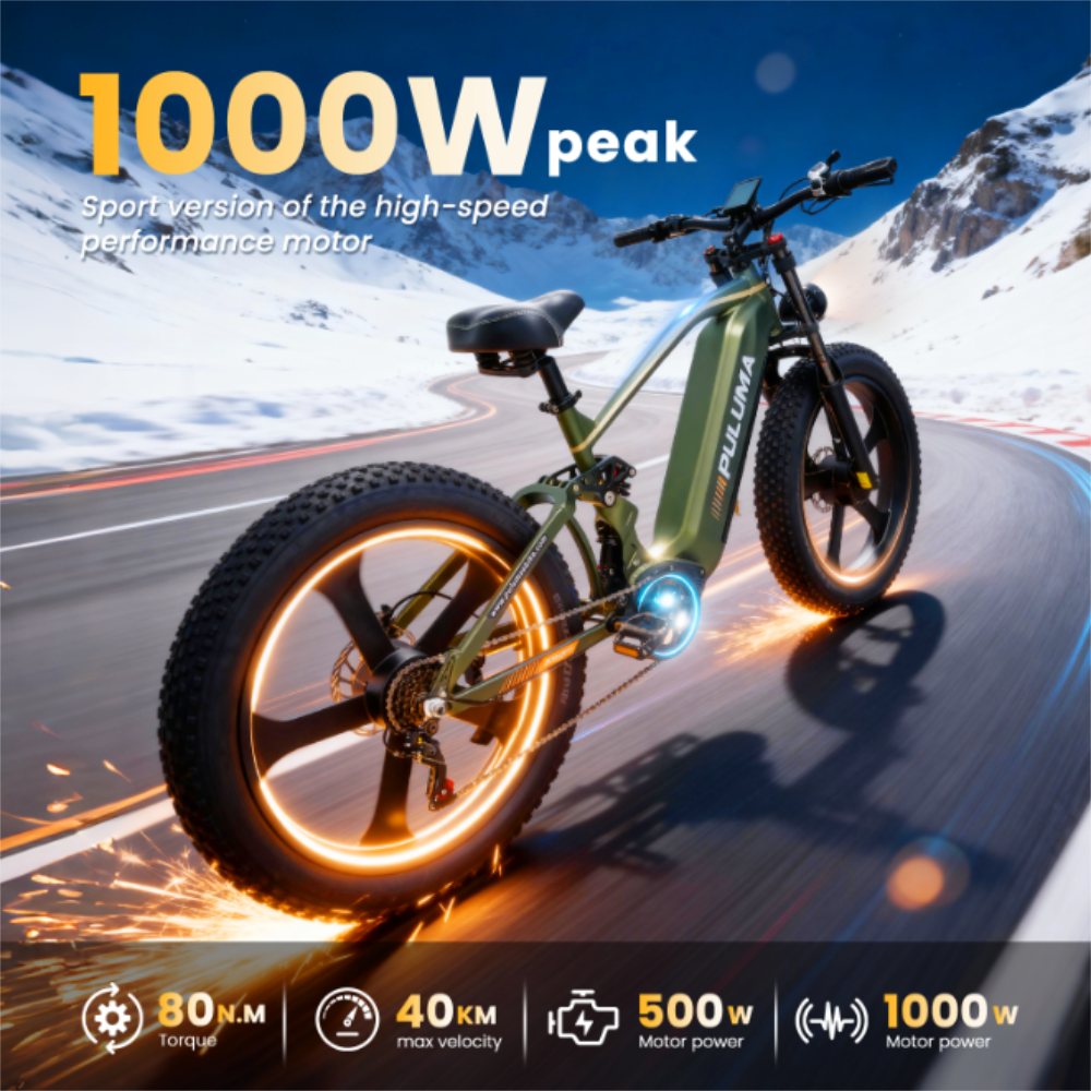 PE900 Mountain Electric Bike 26"*4.0 Wide Tires