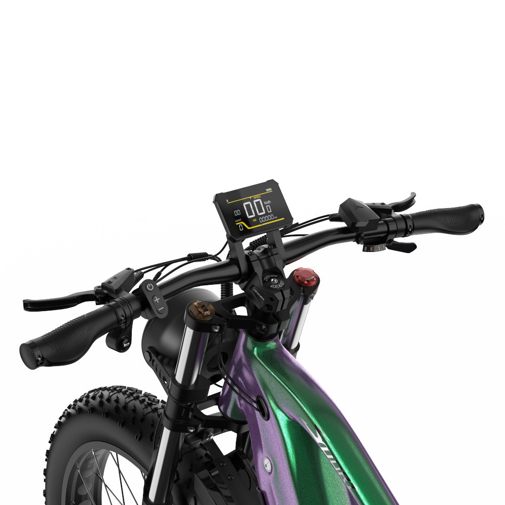DUOTTS E26 Electric Bike