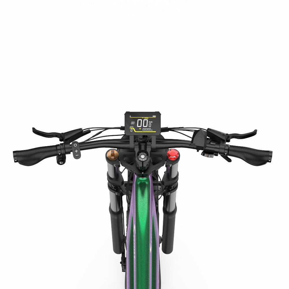 DUOTTS E26 Electric Bike
