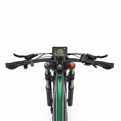 DUOTTS E26 Electric Bike