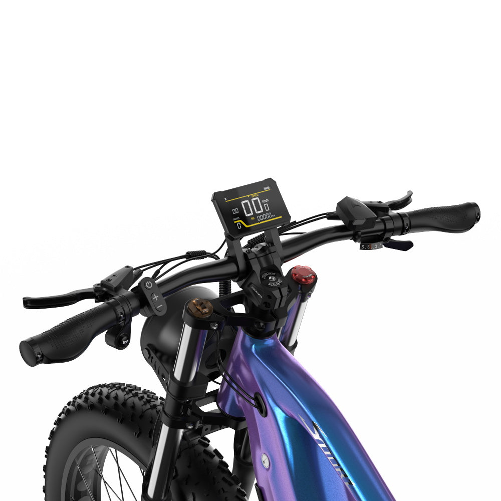 DUOTTS E26 Electric Bike