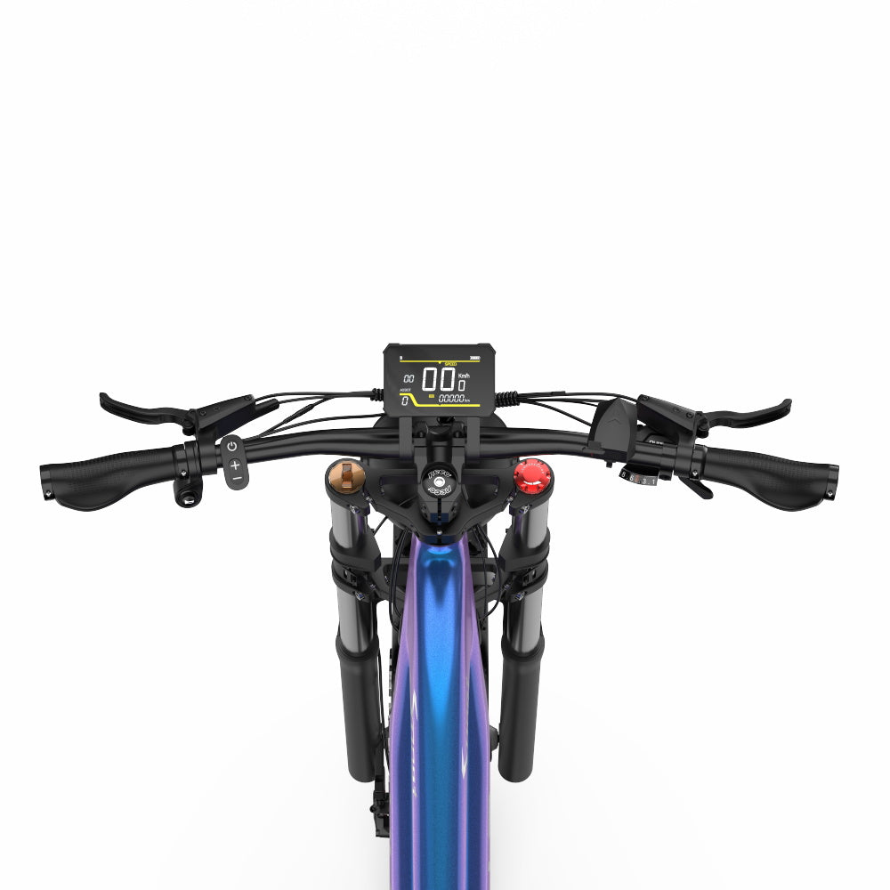 DUOTTS E26 Electric Bike