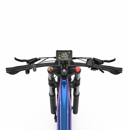DUOTTS E26 Electric Bike