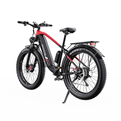 DUOTTS F26 Electric Bike