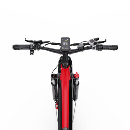 DUOTTS F26 Electric Bike