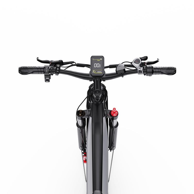 DUOTTS F26 Electric Bike