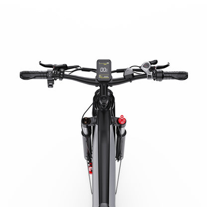 DUOTTS F26 Electric Bike