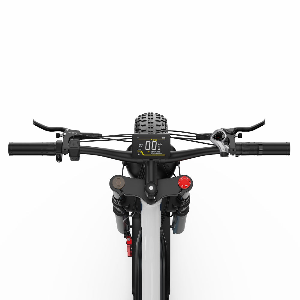 DUOTTS N26 Electric Bike