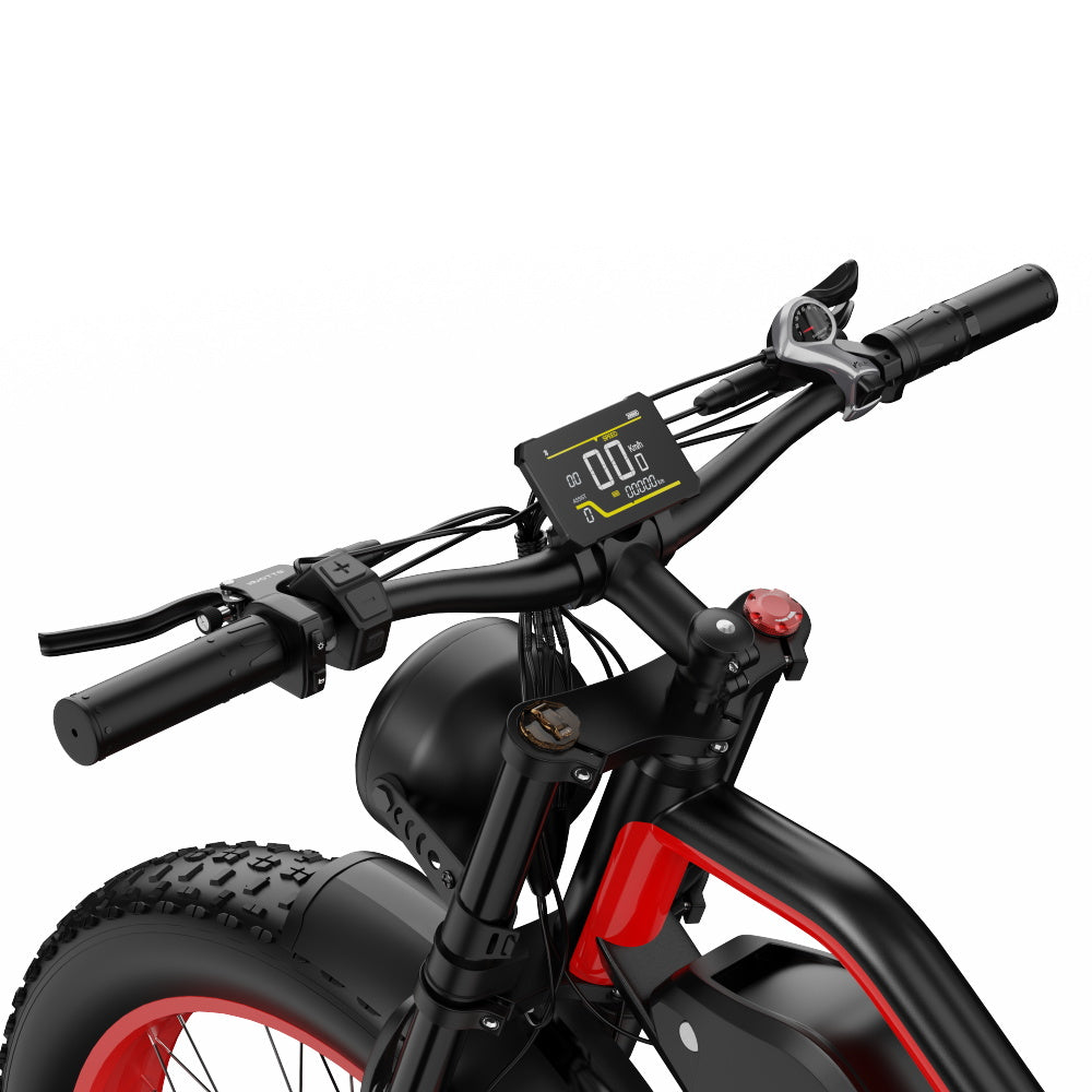 DUOTTS N26 Electric Bike