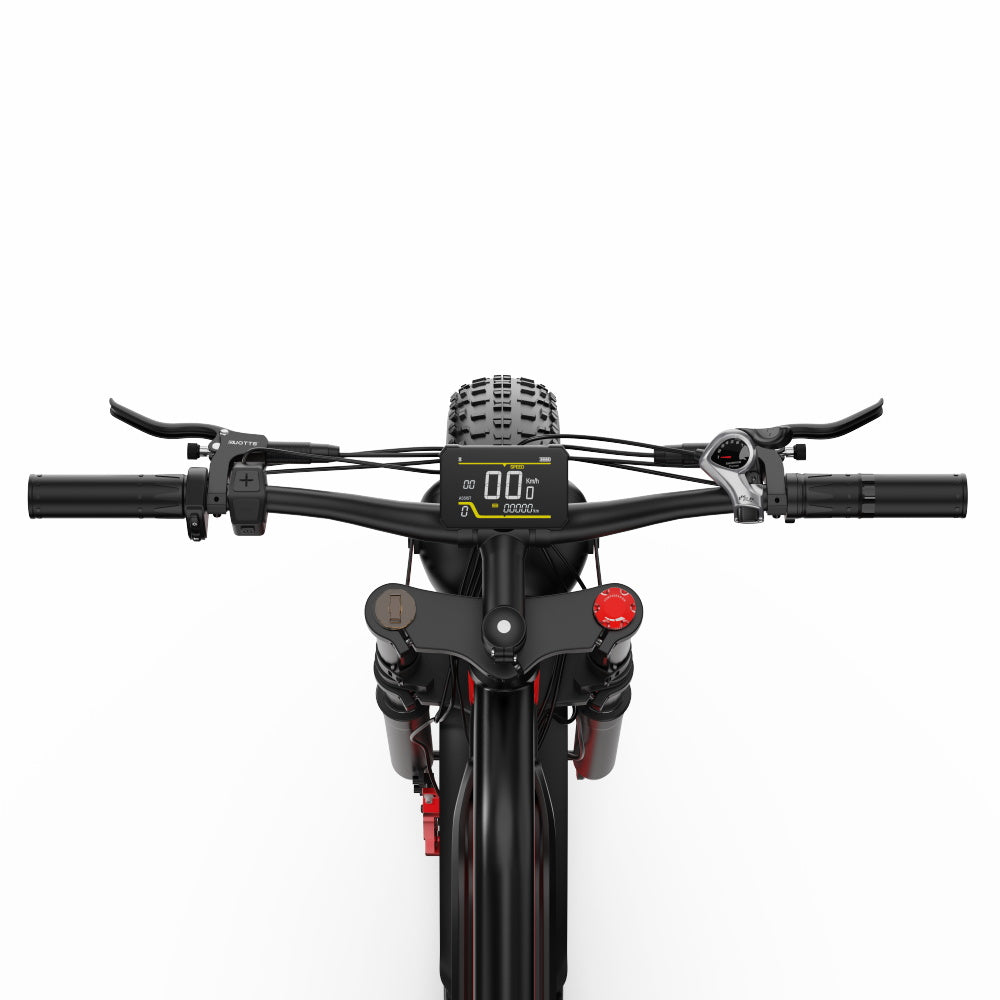 DUOTTS N26 Electric Bike