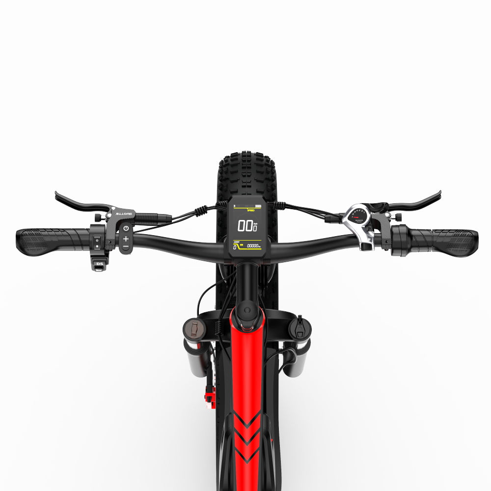 DUOTTS S26 Electric Bike