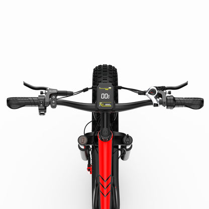 DUOTTS S26 Electric Bike