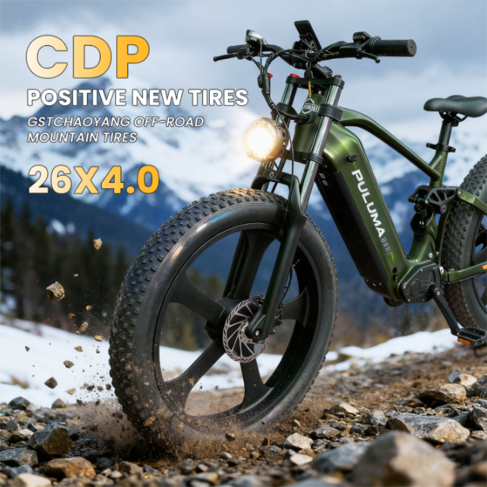 PE900 Mountain Electric Bike 26"*4.0 Wide Tires