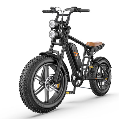 Hillmiles MILEZOOM1 750W Powerful Motor 52V31.2AH Dual Battery Electric Bicycle