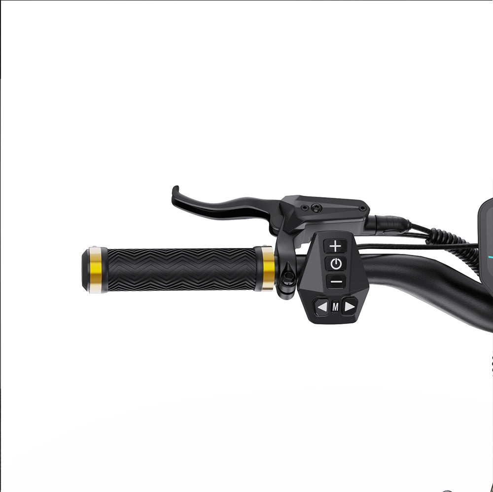 OOTD S30 E-SCOOTER 2400W Dual motor