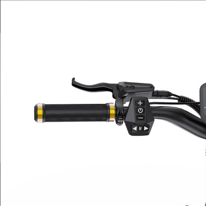 OOTD S30 E-SCOOTER 2400W Dual motor
