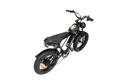 Ridstar Q20