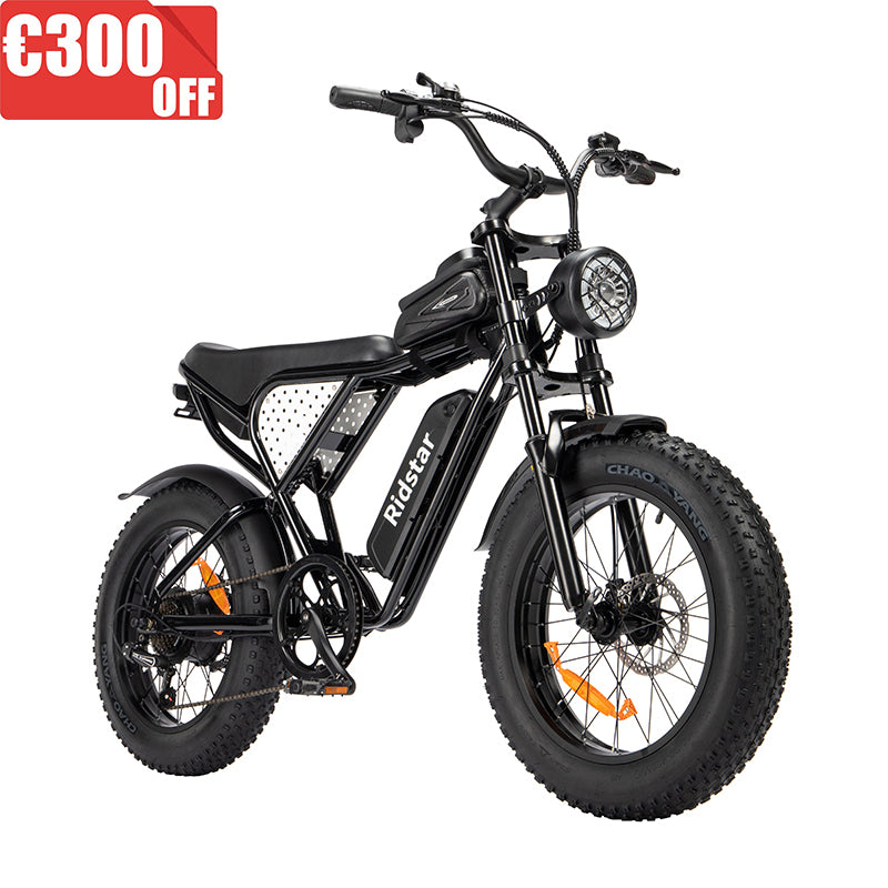 Ridstar Q20 MINI Electric Bike For Adults 1000W Motor 48V 15AH Battery