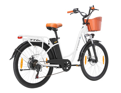 TTGO C2(YY-26ST) Ebike